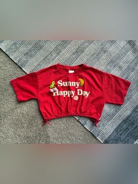 Zara Red Crewneck Crop Top